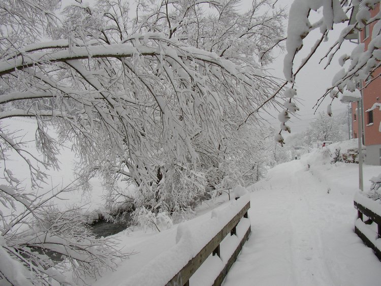 winter2006.JPG