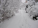 winter2006 (12).JPG