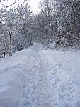 winter2006 (36).JPG