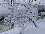 winter2006 (37).JPG