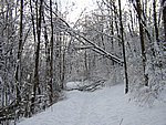 winter2006 (38).JPG