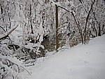 winter2006 (39).JPG