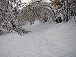 winter2006 (40).JPG