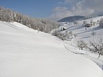 winter2006 (41).JPG