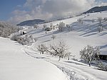winter2006 (42).JPG