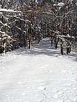 winter2006 (46).JPG