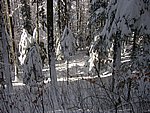 winter2006 (47).JPG