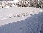 winter2006 (52).JPG
