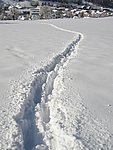 winter2006 (55).JPG