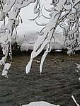 winter2006 (7).JPG