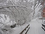 winter2006.JPG