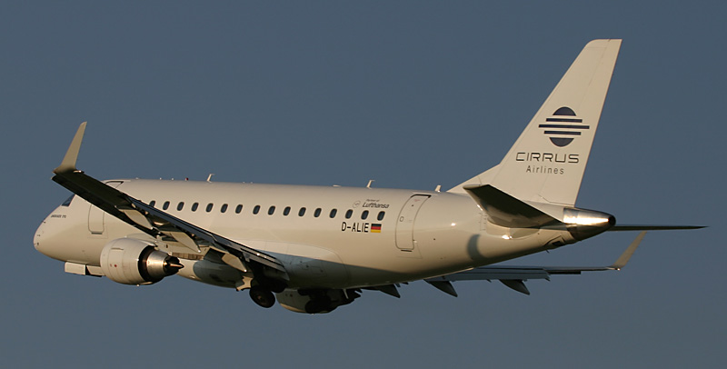 emb5.jpg