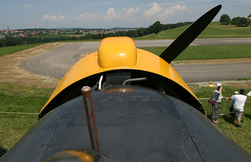 ff_IMG_1239.jpg