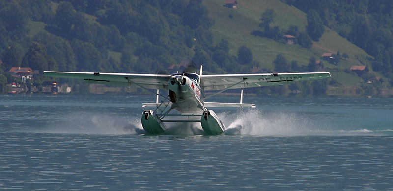 ff_IMG_1701.jpg