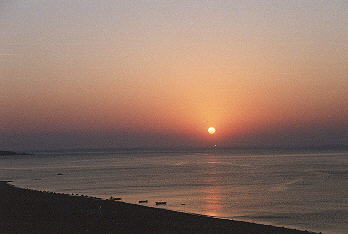 Strand7