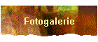 Fotogalerie