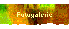 Fotogalerie