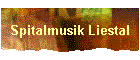Spitalmusik Liestal