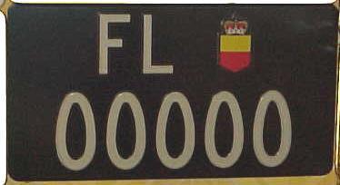 s-fl-sampl