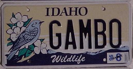 s-usa-id-wild-gambo
