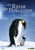 DVD Cover