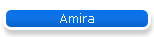 Amira