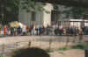 Milch 1.jpg (13652 Byte)