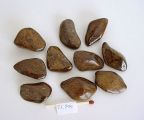 Bronzite, pierre polie forme libre, taille M.