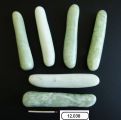 Bton en jade serpentine claire, longueur 9,5  10 cm, forme libre.