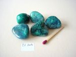 Chrysocolle, taille M, 10  18 grammes