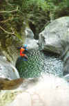 Il bel tuffo S14