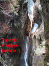 1-strettoia-tronchi.jpg (71283 octets)