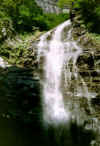 16-r35.jpg (39493 octets)