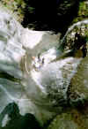 2-t6.jpg (38559 octets)