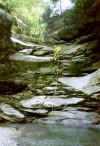 1-r15.jpg (43858 octets)
