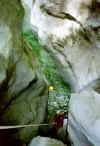 2-r15.jpg (36090 octets)
