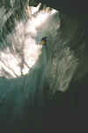 c50.jpg (37833 octets)