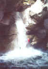 Toboga T8