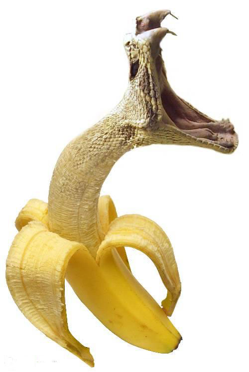 Bananenschlange