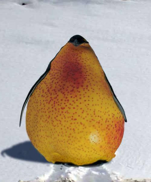 Birnenpinguin