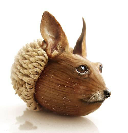 Eichelmaus