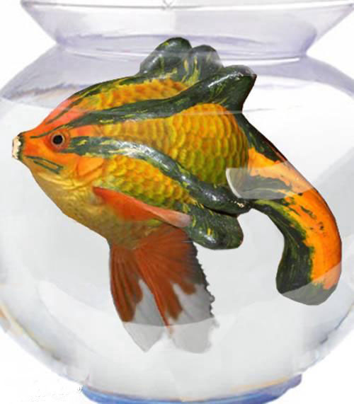 Krbisguppy