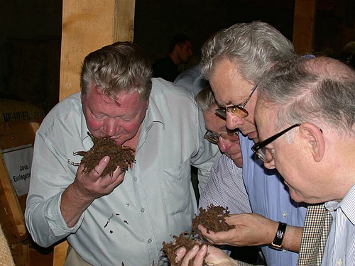bild07.jpg