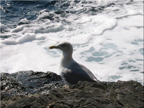 Hyeres_oktober_2002 024.jpg