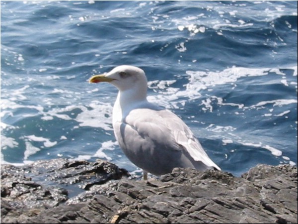 Hyeres_oktober_2002 027.jpg