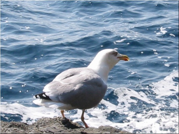 Hyeres_oktober_2002 028.jpg