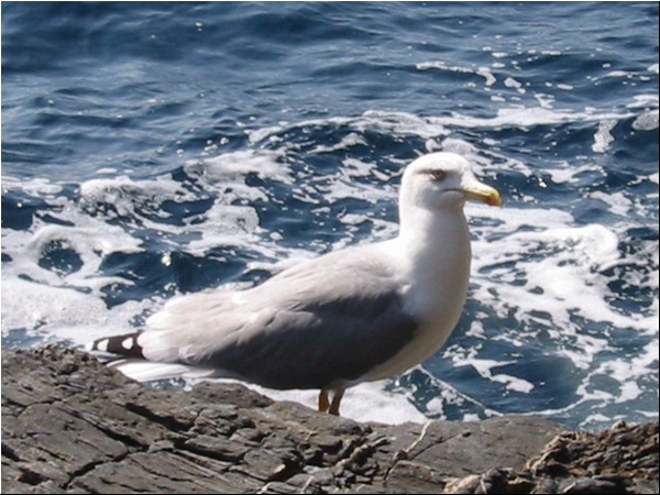 Hyeres_oktober_2002 029.jpg