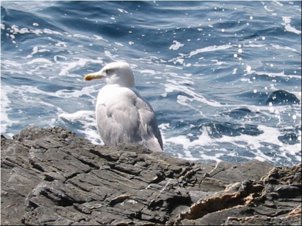 Hyeres_oktober_2002 030.jpg