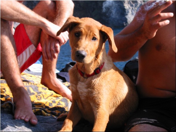 Hyeres_oktober_2002 037.jpg