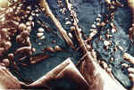 EXP-71.jpg (410935 Byte)
